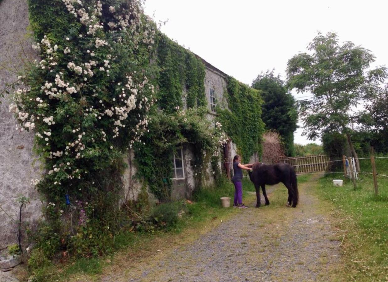 ホテル Ballyrider House Inch Cross エクステリア 写真